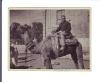 Photo #14
Gujarat India
Joseph on Camel
November 1944