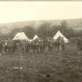 Men and horses, Camp Petawawa, nd.