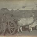 Pte. Harold Dean and fellow soldiers with garbage wagon in Africa, B.E.F., WWI 