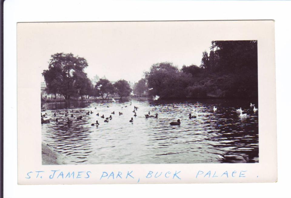Photo #104
St. James Park 
London, England