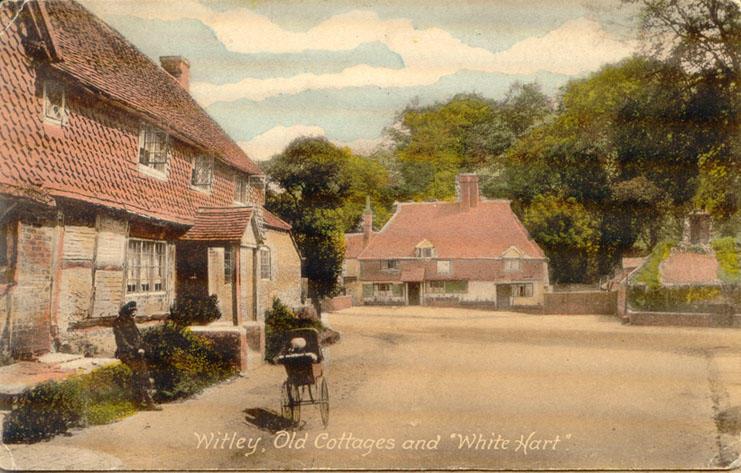Witley old cottages - front