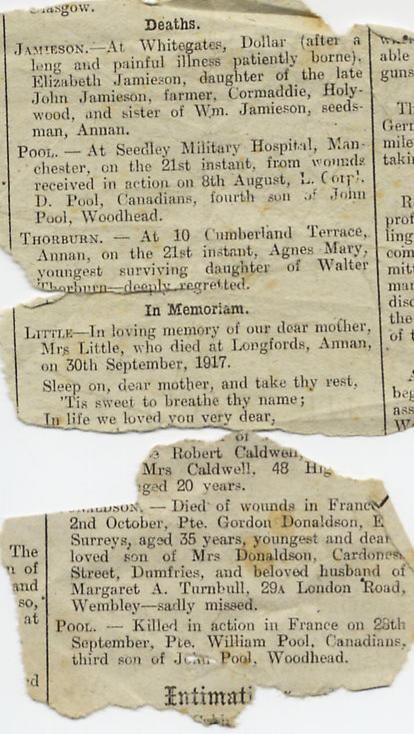 Newspaper death notices for David and William, September, 1918.