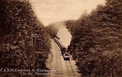 The "L. &amp; S.W. Express Train"
To Haslemere in the Pine Woods
Front Only