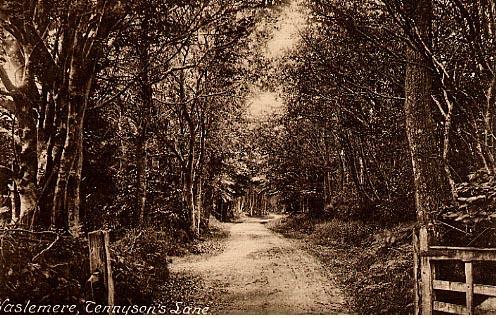 Tennyson's Lane #2
In Haslemere
Front Only